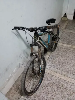 ফিনিক্স আরগাস সাইকেল