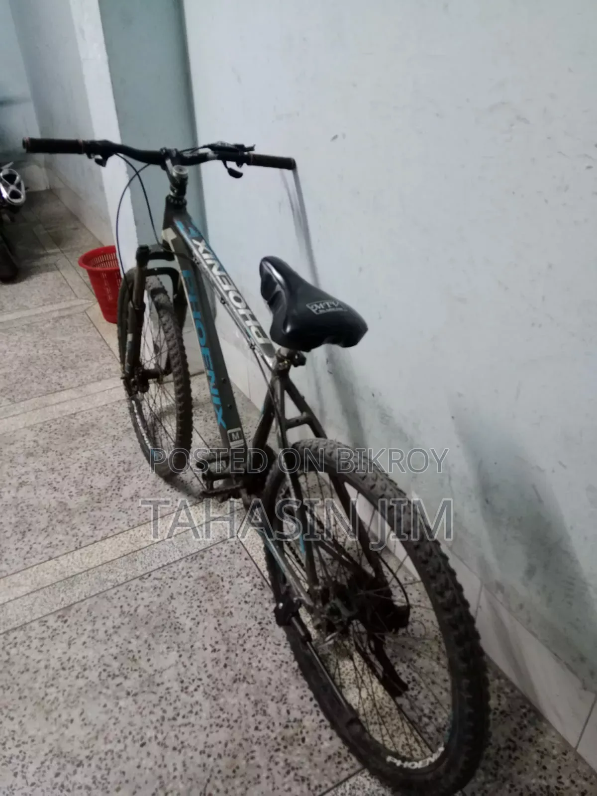 ফিনিক্স আরগাস সাইকেল