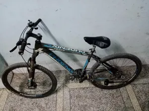 ফিনিক্স আরগাস সাইকেল