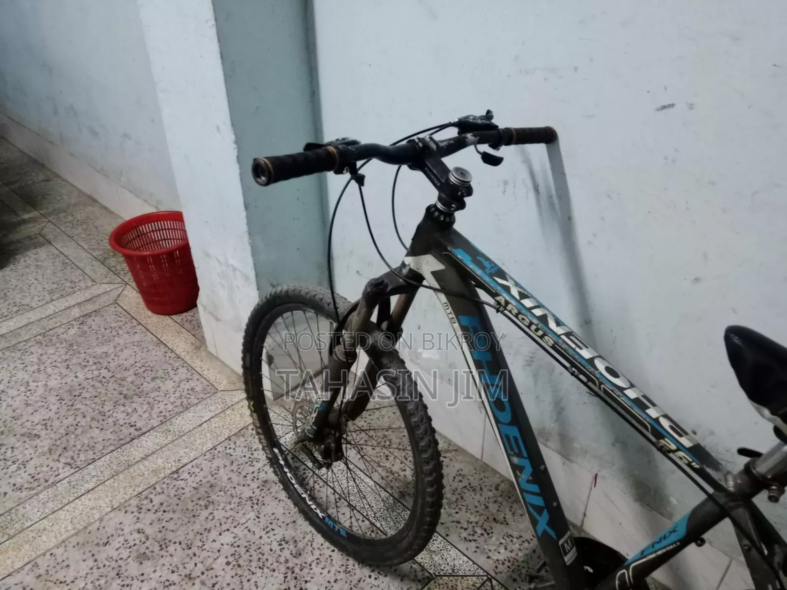 ফিনিক্স আরগাস সাইকেল