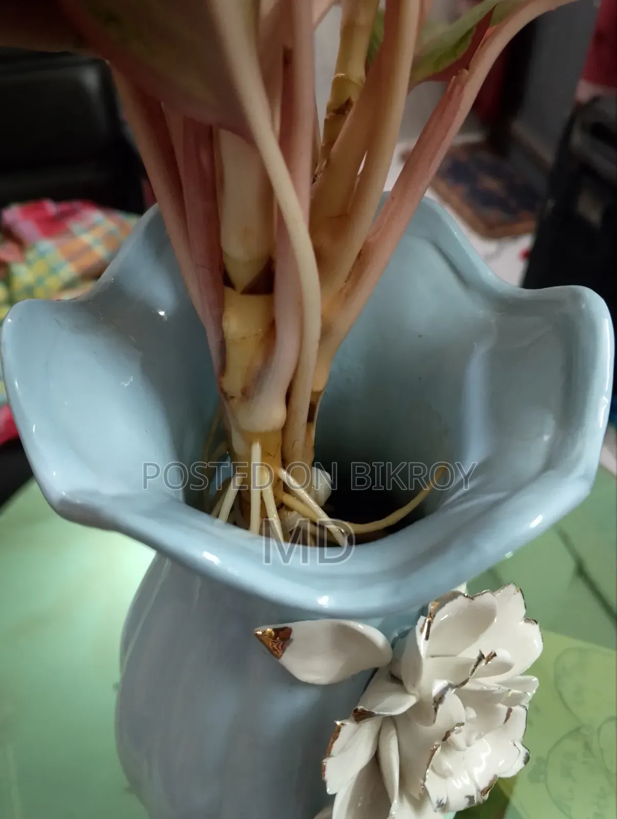 বাগানের সরঞ্জাম