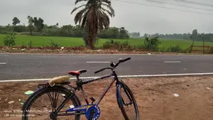 ৭১ বাইসাইকেল (নীল)