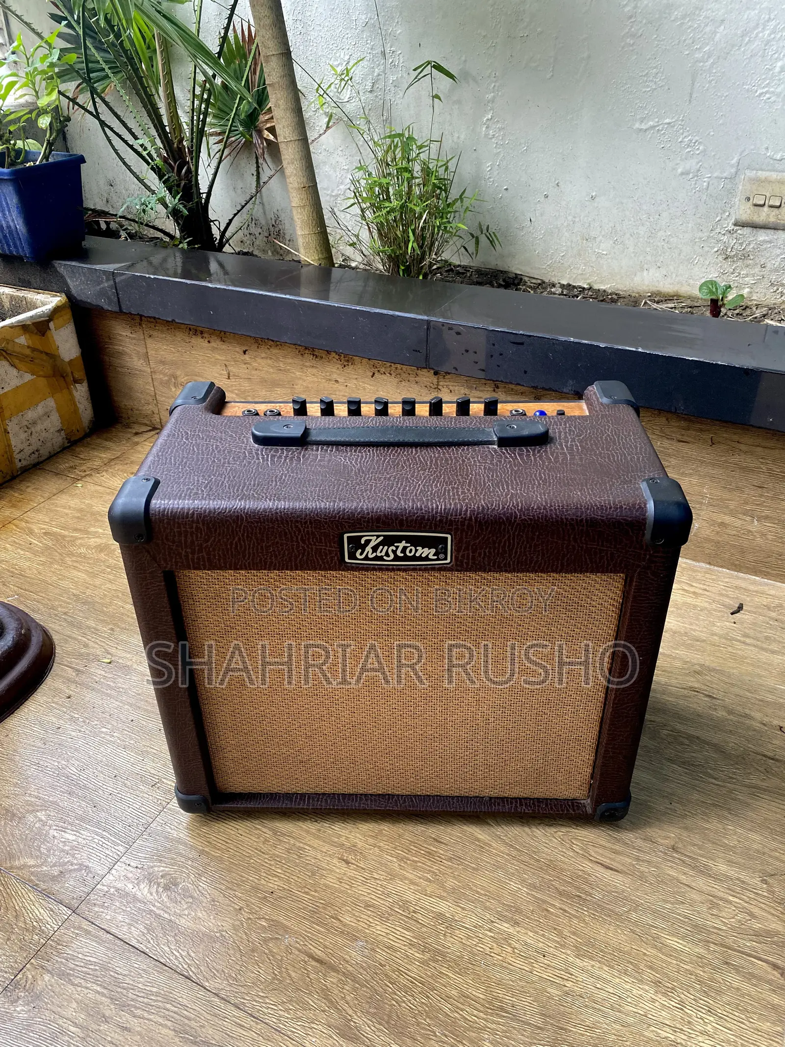 কুস্টম সিয়েনা ৩০ প্রো অ্যাম্প্লিফায়ার