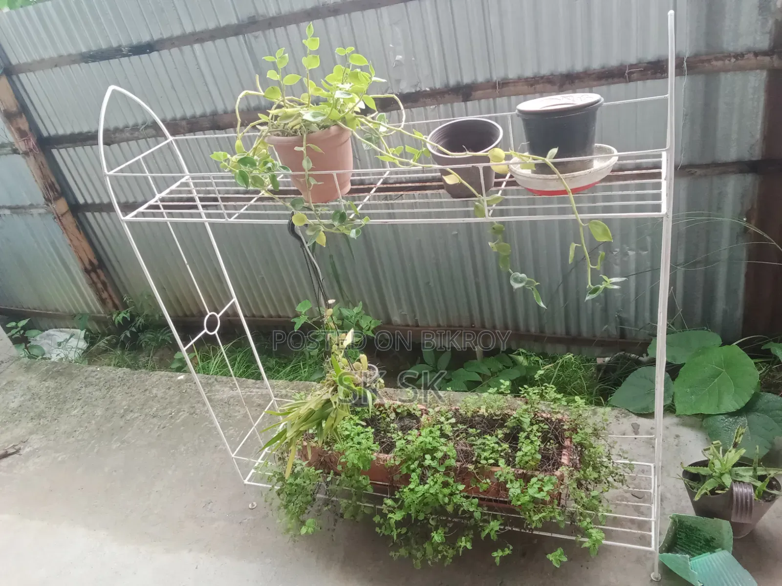 ১৩ পিস গাছের স্ট্যান্ড বিক্রি হবে,সাথে গাছ মাটি টপ ফ্রী অনেক গুলো