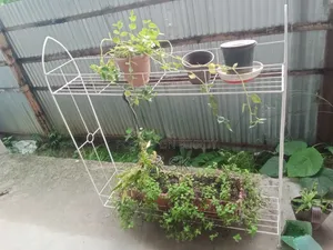 ১৩ পিস গাছের স্ট্যান্ড বিক্রি হবে,সাথে গাছ মাটি টপ ফ্রী অনেক গুলো