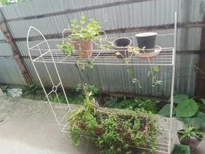 ১৩ পিস গাছের স্ট্যান্ড বিক্রি হবে,সাথে গাছ মাটি টপ ফ্রী অনেক গুলো