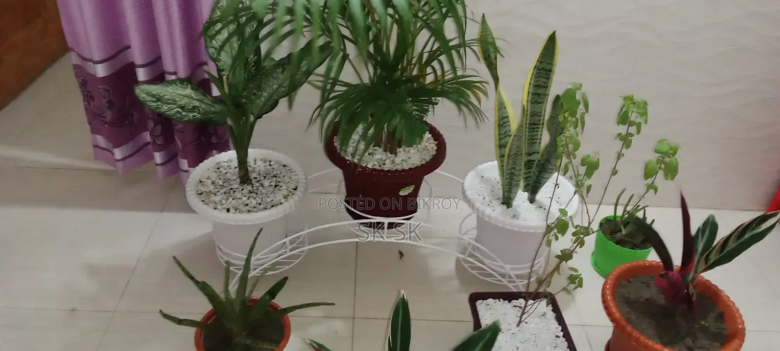 ১৩ পিস গাছের স্ট্যান্ড বিক্রি হবে,সাথে গাছ মাটি টপ ফ্রী অনেক গুলো