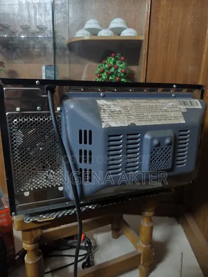 Micro Oven