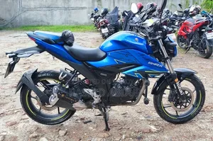 সুজুকি জিক্সার ২০২৪ নীল