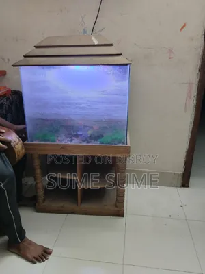 ব্যবহৃত অ্যাকোয়ারিয়াম।