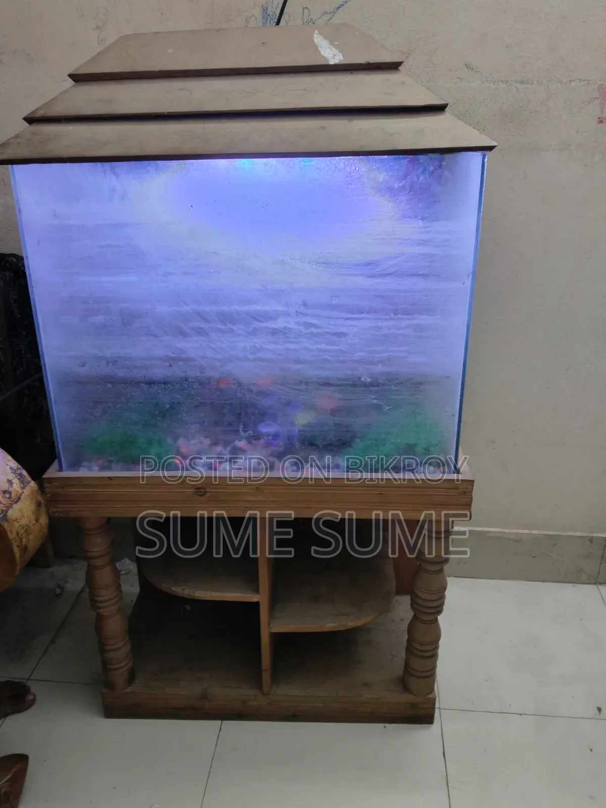 Used Aquarium.