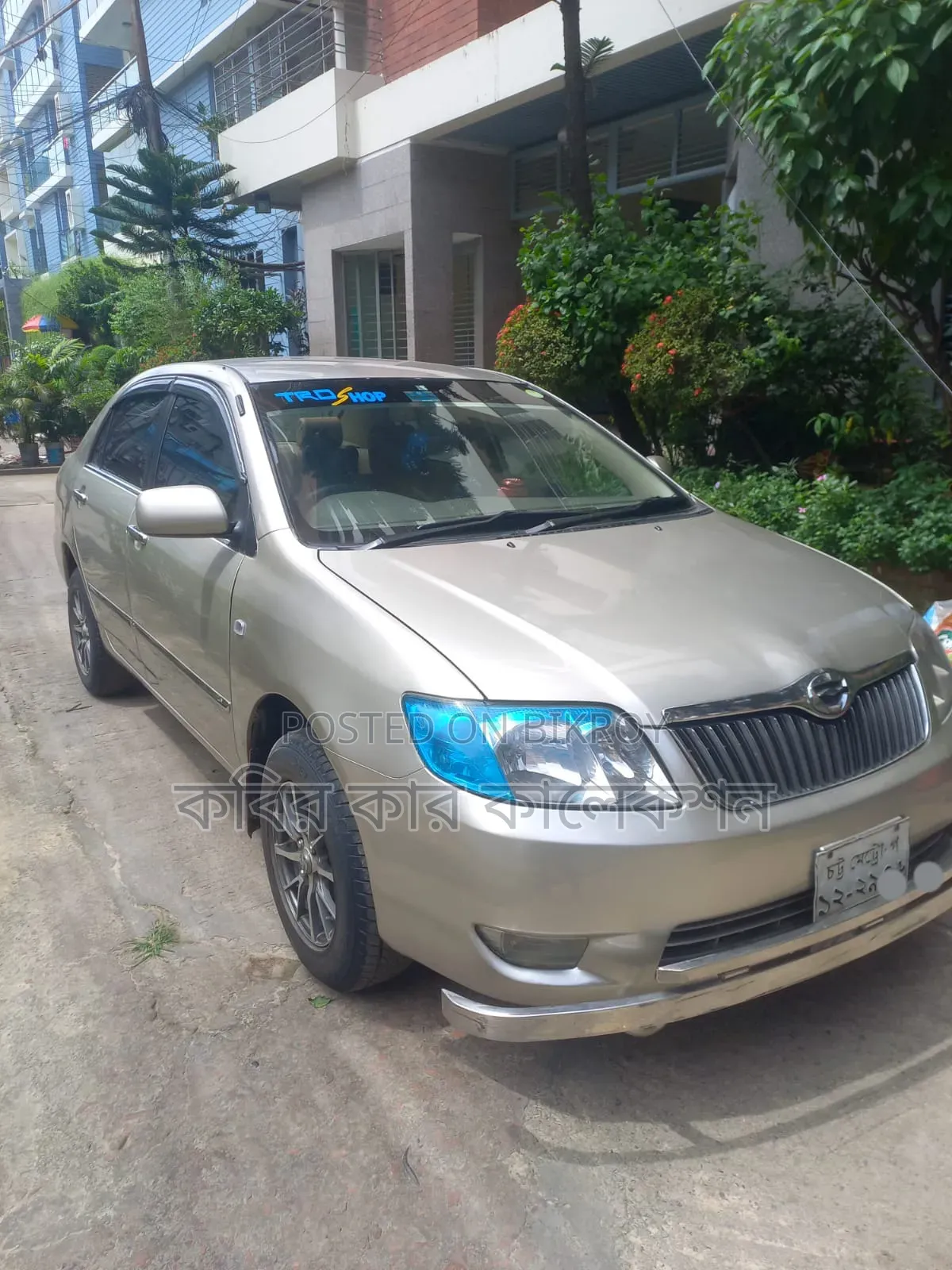 Toyota Corolla 2004 Beige
