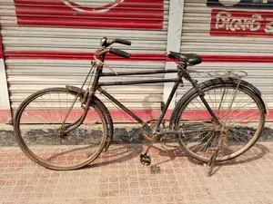 অরজিনাল ফোনিক্স সাইকেল