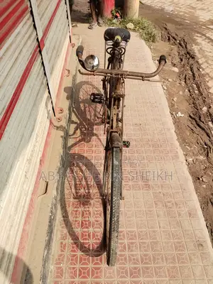 অরজিনাল ফোনিক্স সাইকেল