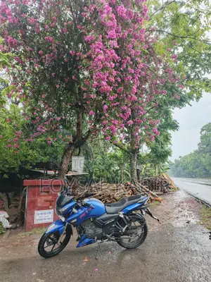 TVS Apache RTR 160 2V 2019 Blue