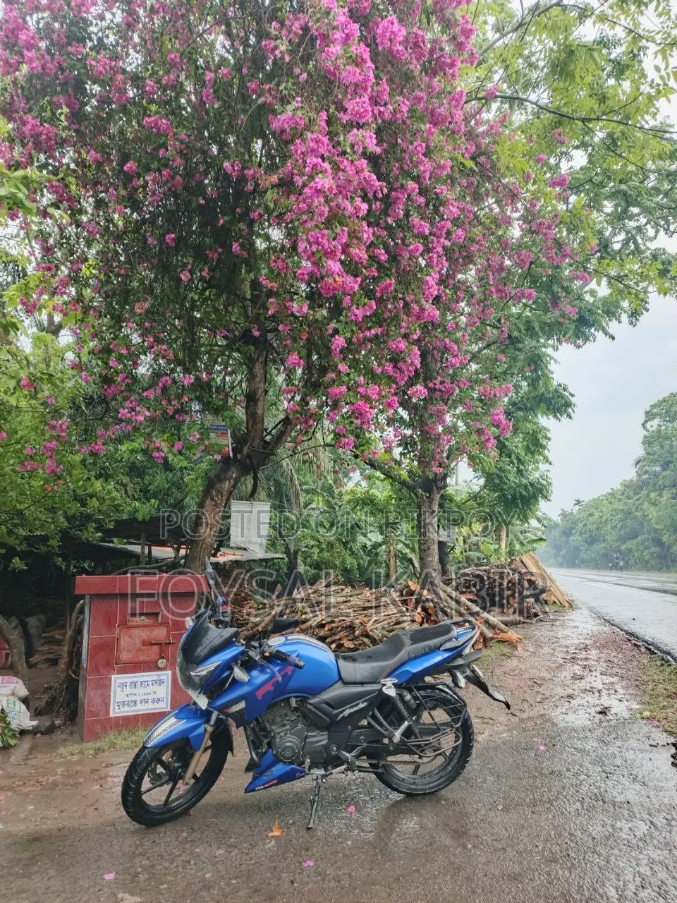 TVS Apache RTR 160 2V 2019 Blue