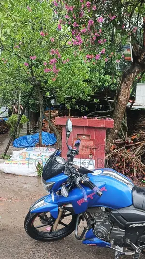 TVS Apache RTR 160 2V 2019 Blue
