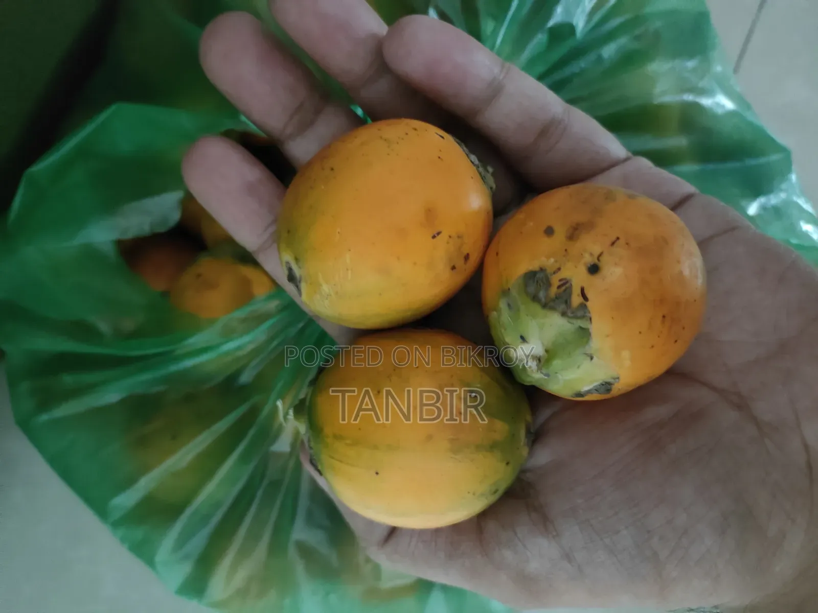 Homegrown Betel Nut
Large Size