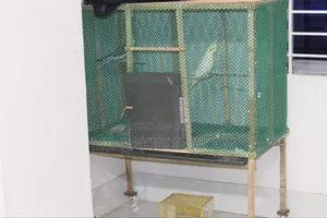 পাখি বিক্রয়