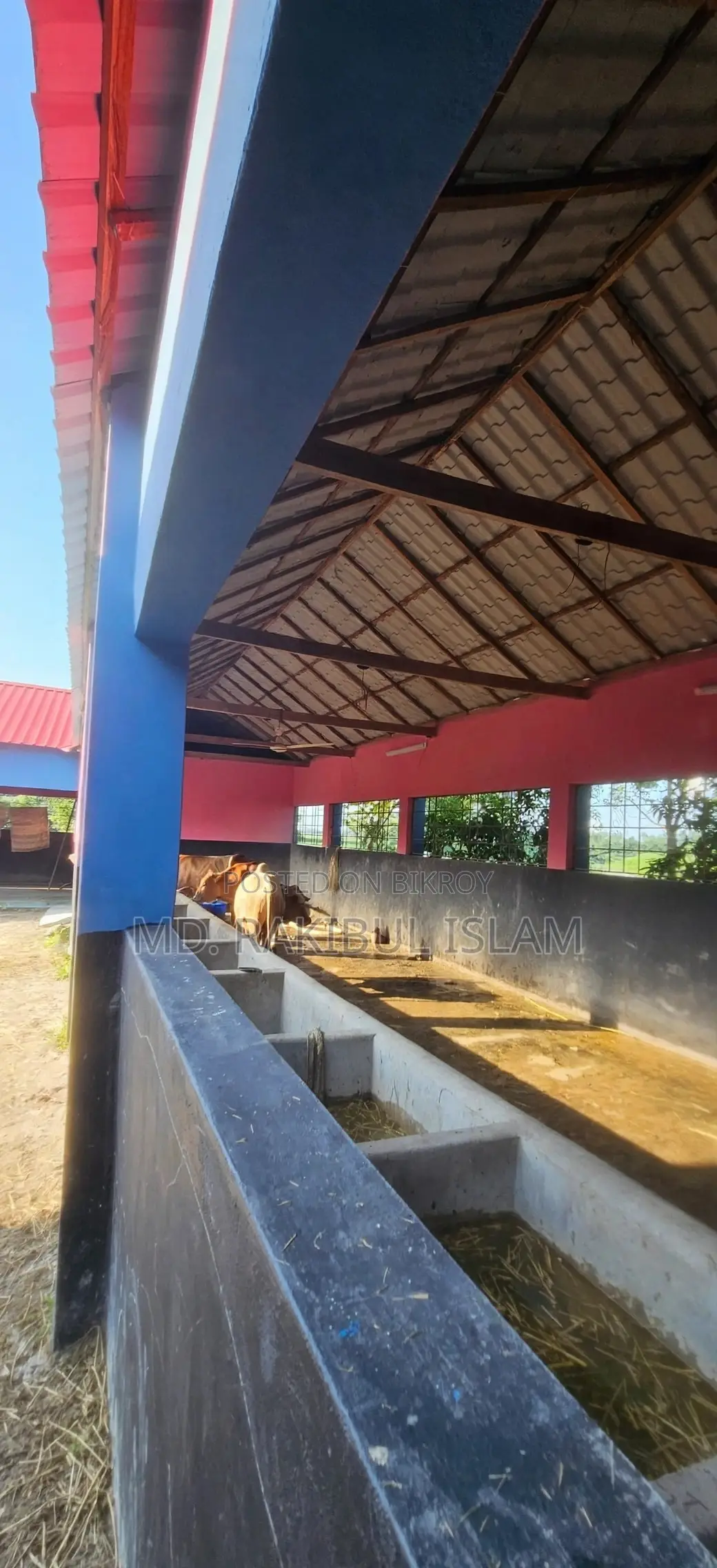 Ullapara Lahiri Mohanpur 31 Decimal Farm Land 60 Cow Shed River Side