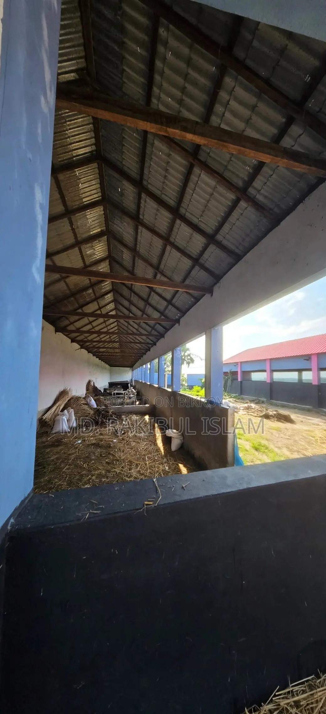 Ullapara Lahiri Mohanpur 31 Decimal Farm Land 60 Cow Shed River Side