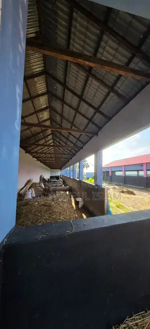 Ullapara Lahiri Mohanpur 31 Decimal Farm Land 60 Cow Shed River Side