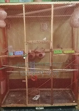 Large Bird Cage for Sale