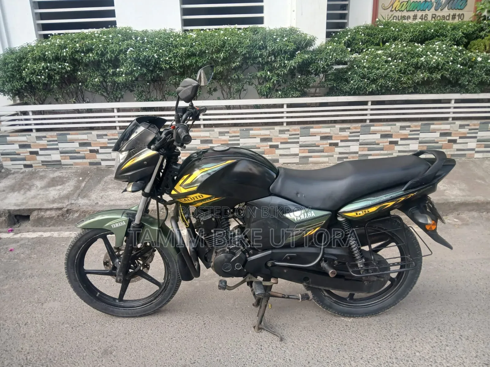 Yamaha Saluto 125 2019 Green