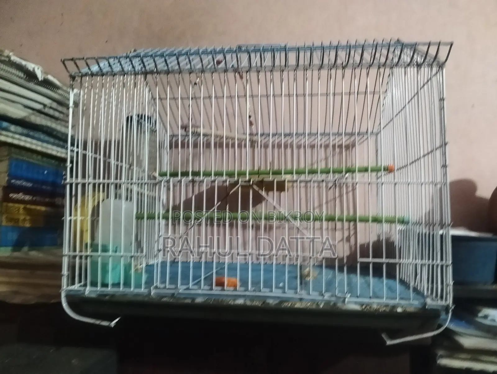 চিন কেজ