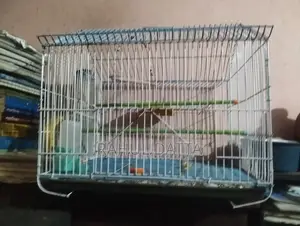 চিন কেজ