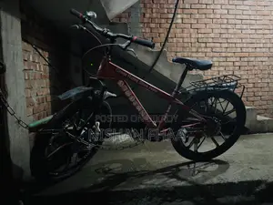 সাইকেল (নন গিয়ার)