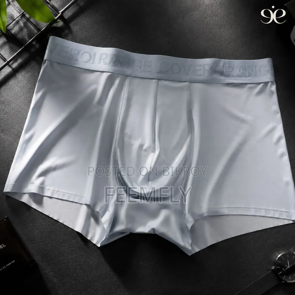 Ice Silk Underwear (Europe)