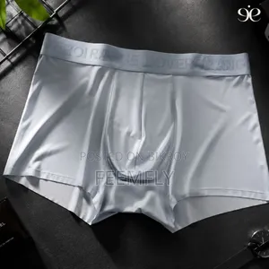 Ice Silk Underwear (Europe)