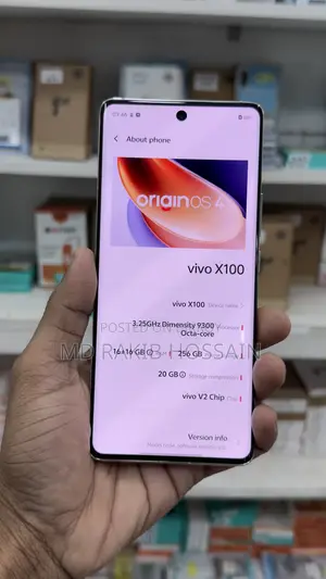 Vivo X100 256 GB Orange