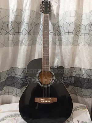 Fully Fresh TGM Guitar