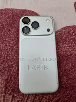 Apple iPhone 17 Pro 256 GB Silver