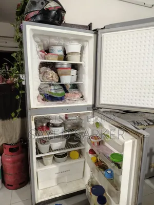 Singer Fridge Big Size