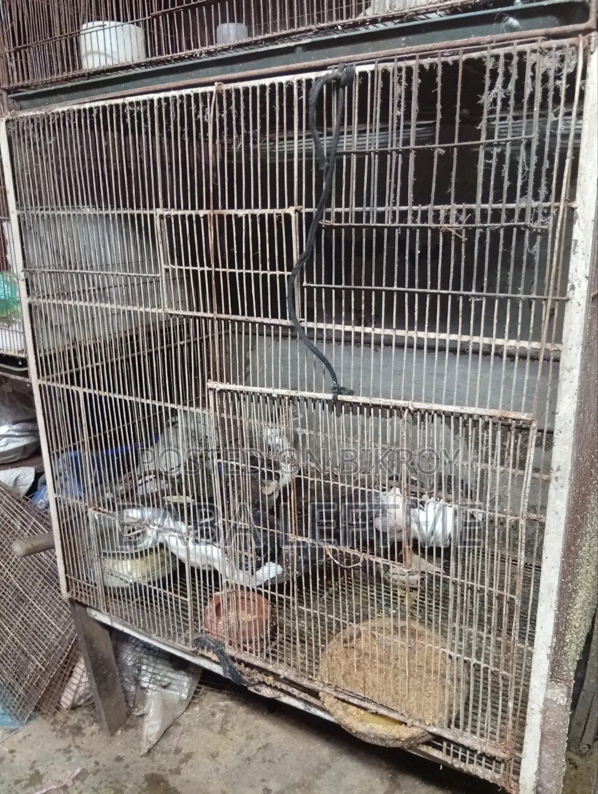 ২টি বড় খাঁচা
