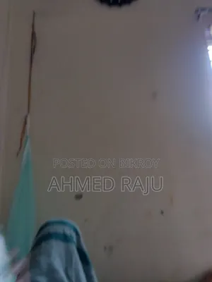 নতুন টেকনো ক্যামন ৫০ ২৫৬ জিবি গ্রিন