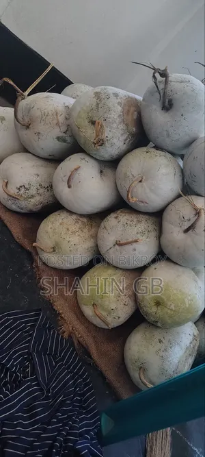 Ash Gourd