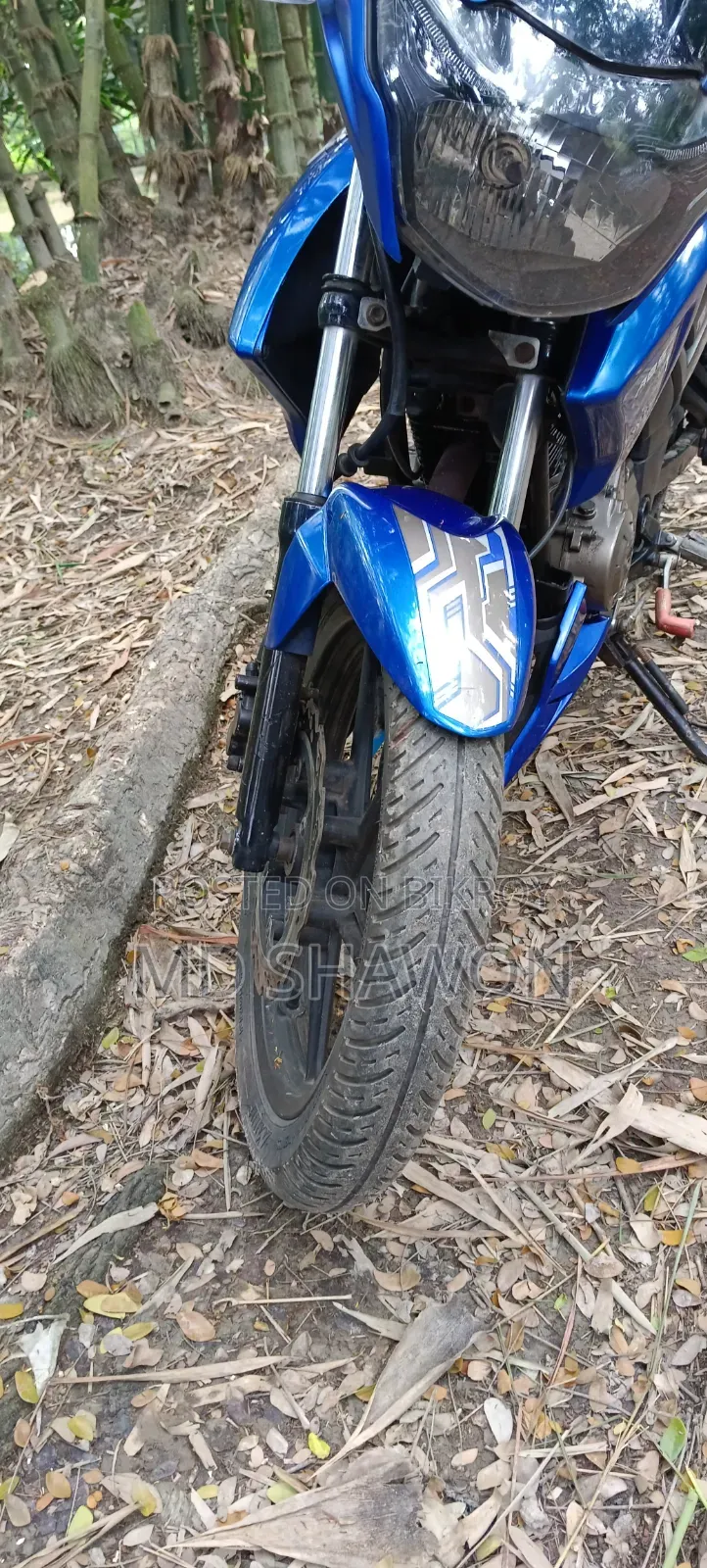 TVS Apache RTR 160 2V 2019 Blue