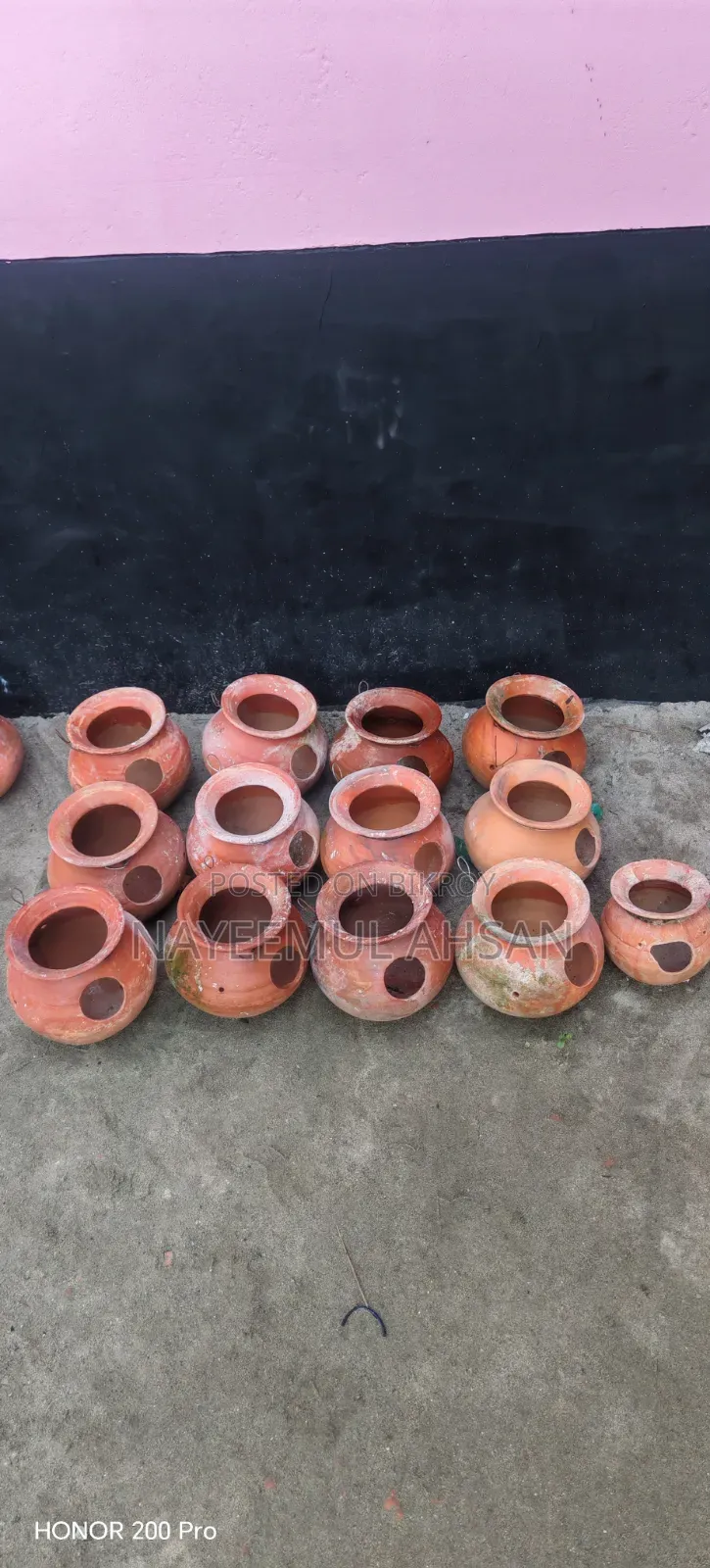 Bird Pot