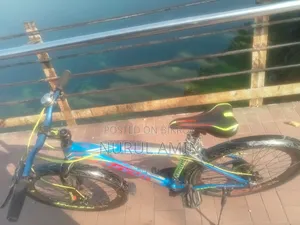 26" Gear Cycle