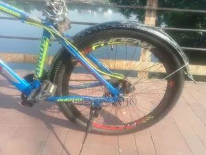 26" Gear Cycle