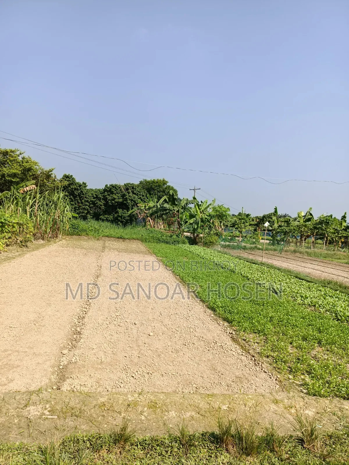 জরুরি ভিত্তিতে ৮ শতাংশ জমি বিক্রয় হবে হাড়িয়া মৌজা, সোনারগাঁও,