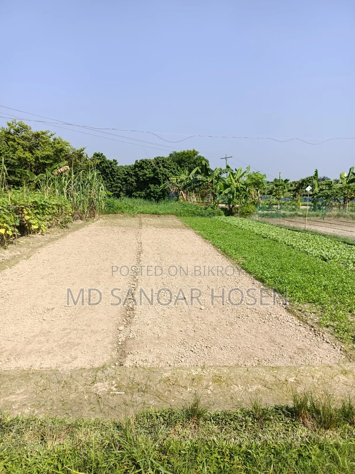 জরুরি ভিত্তিতে ৮ শতাংশ জমি বিক্রয় হবে হাড়িয়া মৌজা, সোনারগাঁও,