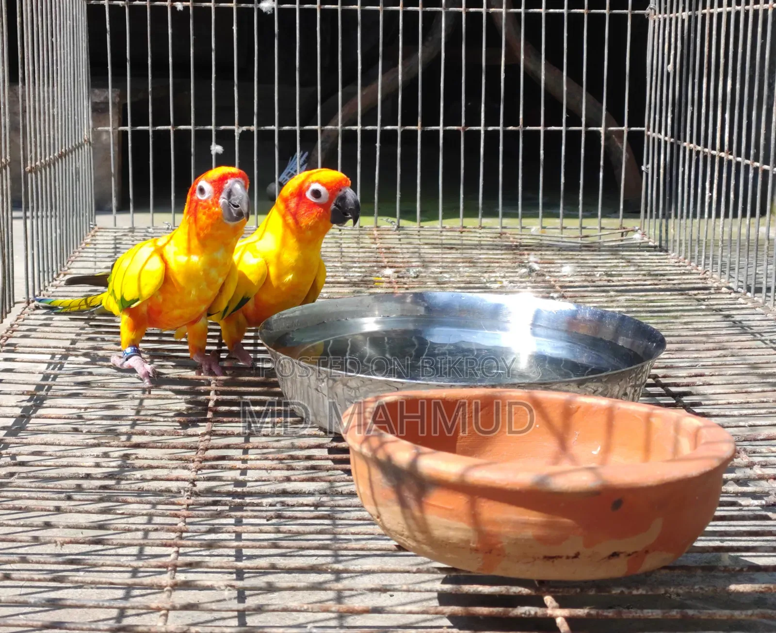 সান কুনুর