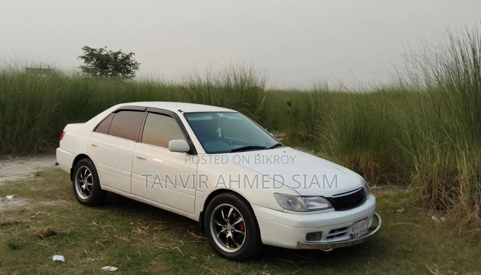 টয়োটা করোনা ১৯৯৬ পার্ল