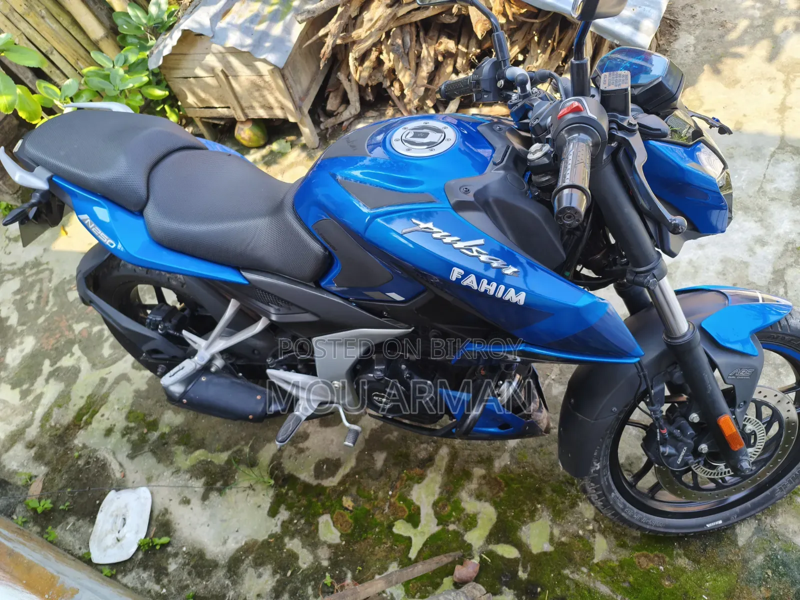 Bajaj Pulsar N250 2024 Blue