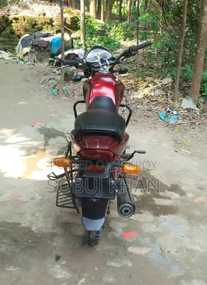 Dayun Plight 110 2015 Red